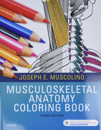 Musculoskeletal Anatomy Coloring Book by Muscolino DC, Josep