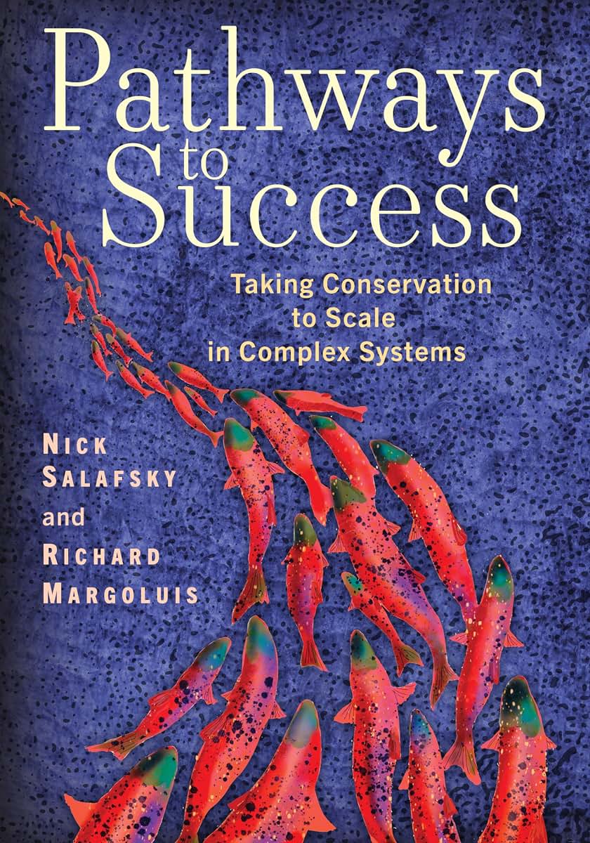 Pathways to Success: Taking Conservation to Scale in Complex Systems