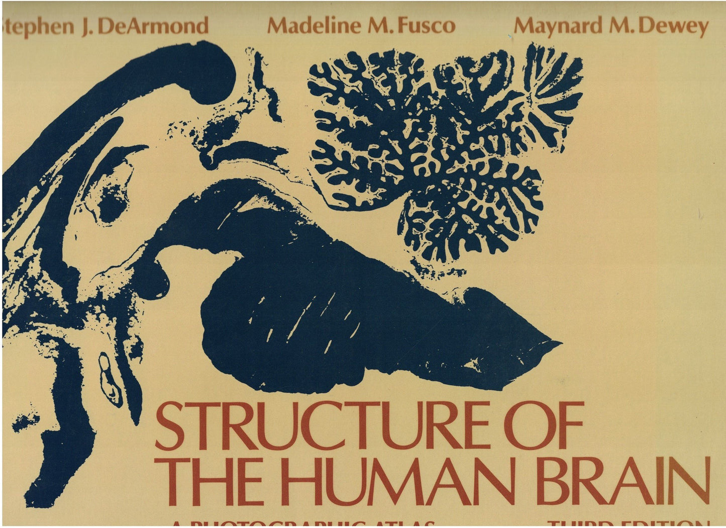 Structure of the Human Brain: A Photographic Atlas by DeArmo