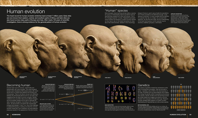 Evolution: The Human Story, 2nd Edition — back cover