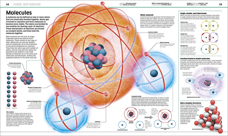 Knowledge Encyclopedia Science! — back cover
