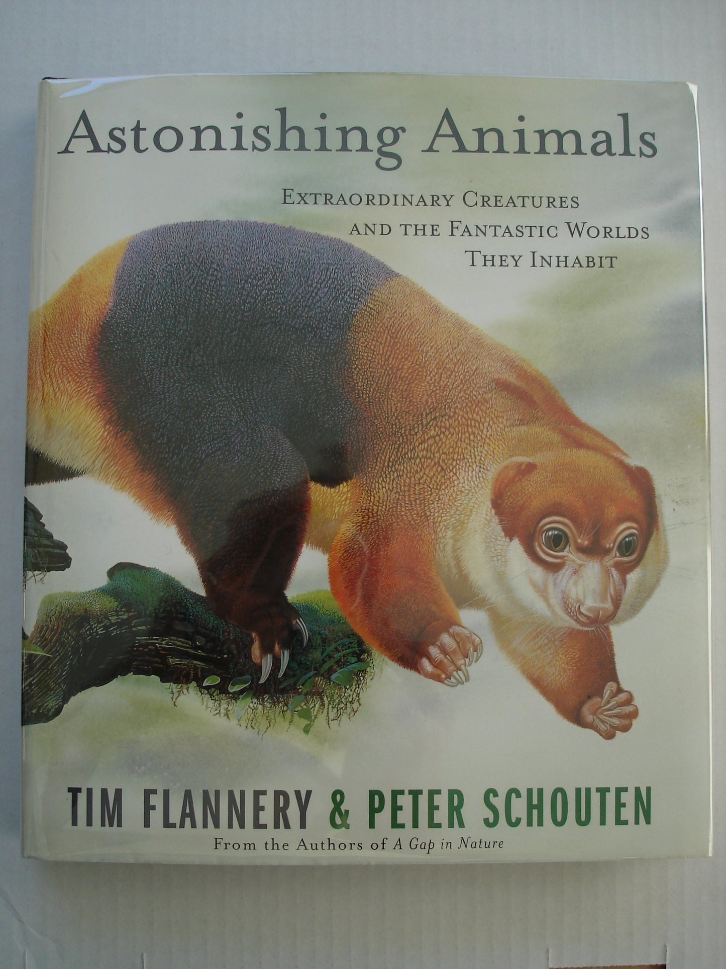Astonishing Animals: Extraordinary Creatures and the Fantastic Worlds They Inhabit