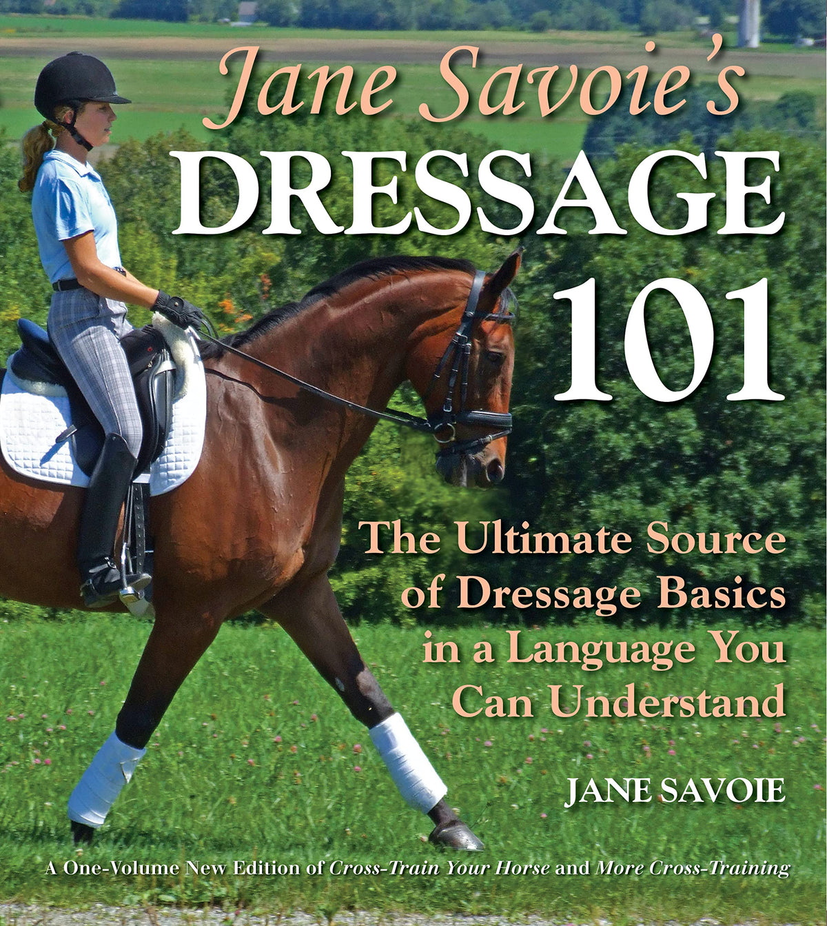 Jane Savoie's Dressage 101: The Ultimate Source of Dressage Basics in a Language You Can Understand
