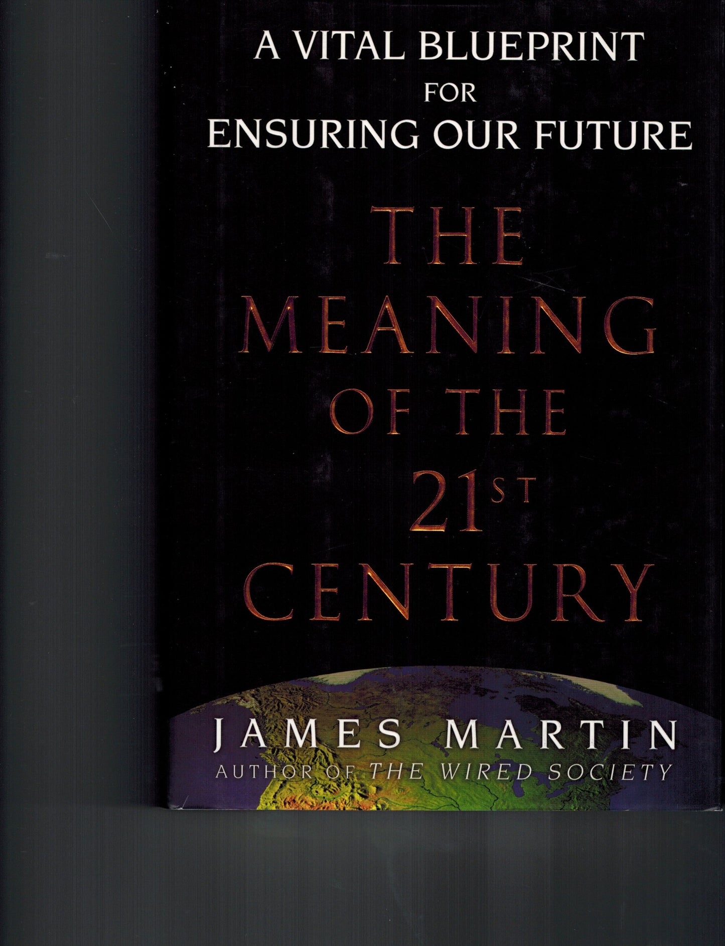 The Meaning of the 21st Century by James Martin