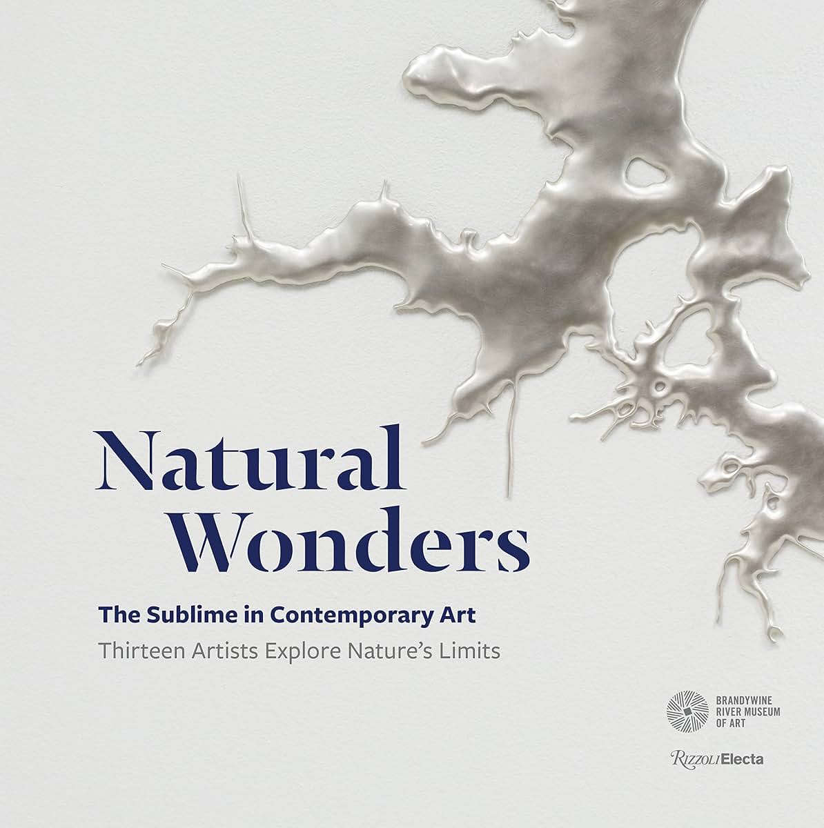 Natural Wonders: The Sublime in Contemporary Art: Thirteen Artists Explore Nature's Limits