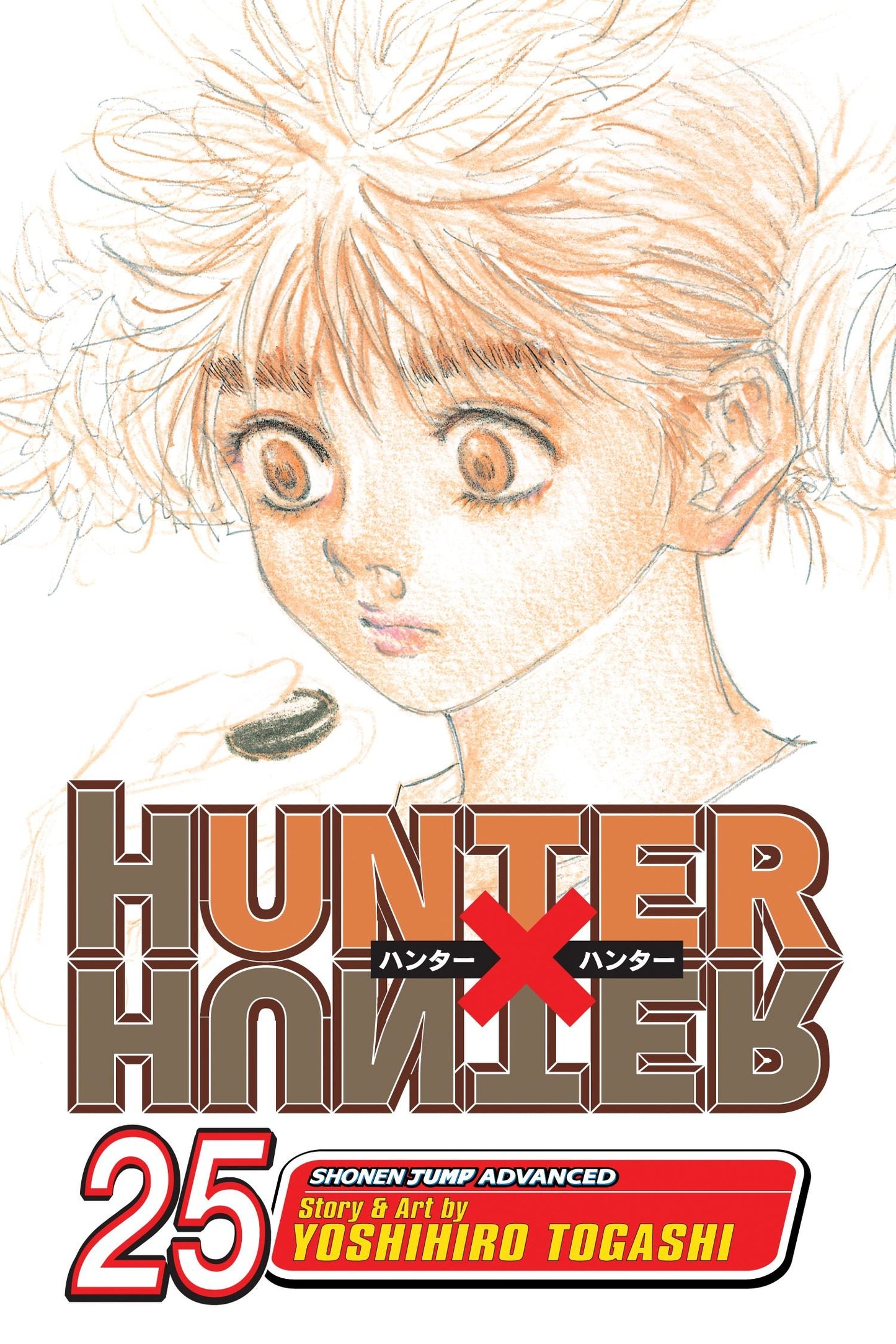 Hunter x Hunter, Vol. 25: Charge