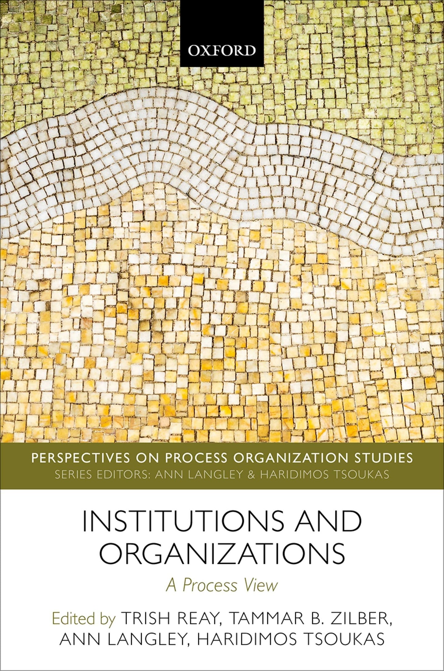 Institutions and Organizations: A Process View (Perspectives on Process Organization Studies)