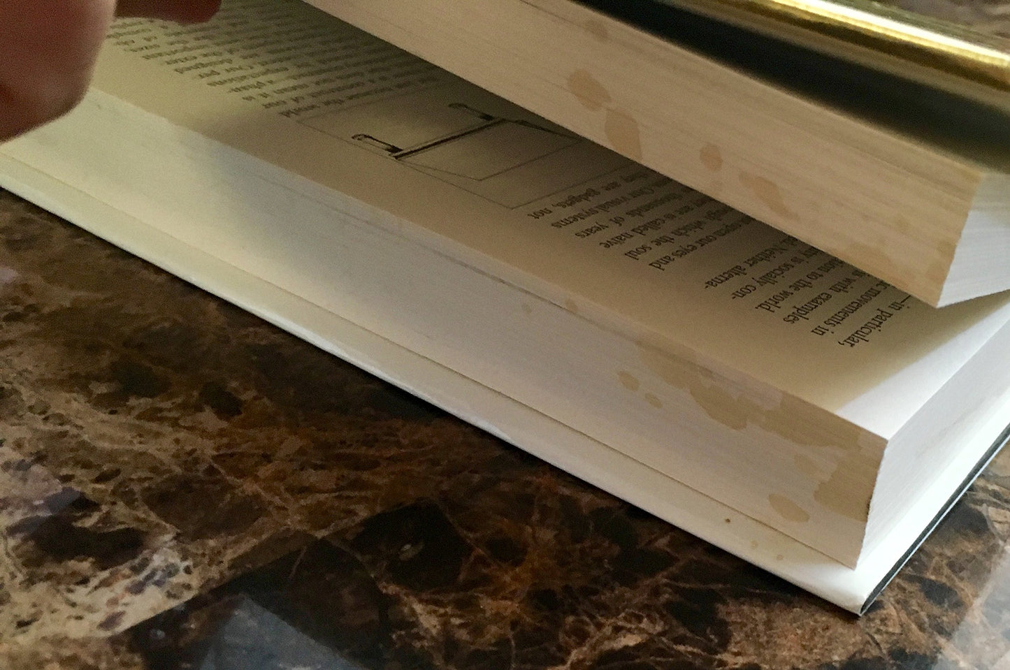 The Blank Slate: The Modern Denial of Human Nature by Pinker