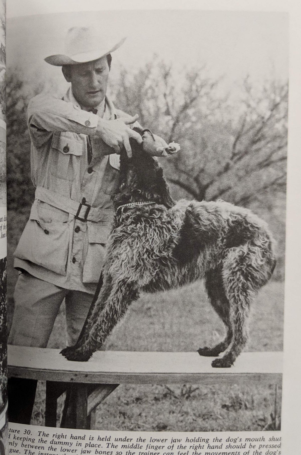 The training and care of the versatile hunting dog