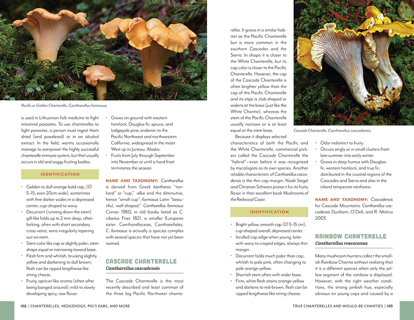 Fruits of the Forest: A Field Guide to Pacific Northwest Edible Mushrooms