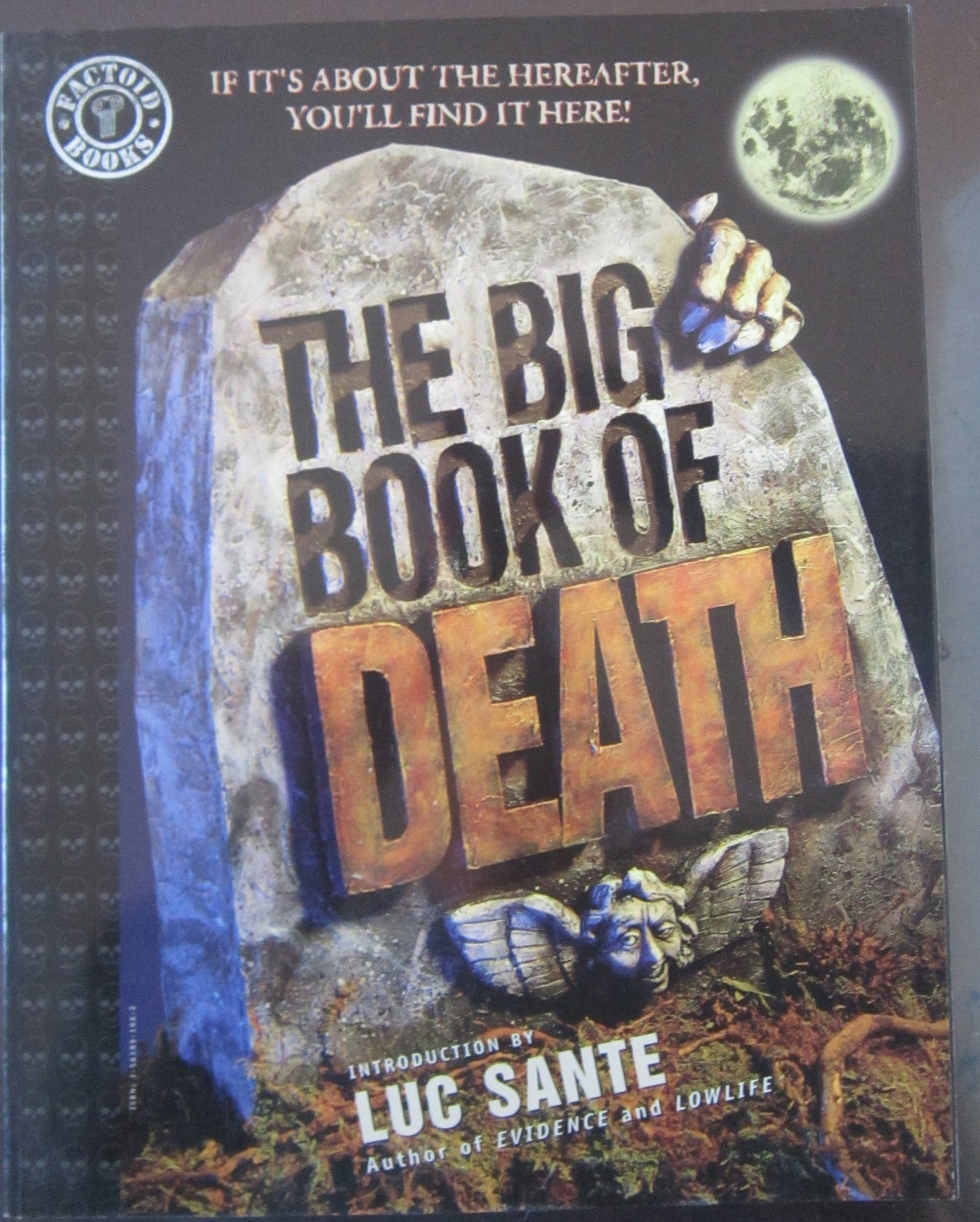 The Big Book of Death by Bronwyn Carlton