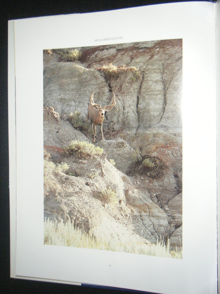Mule Deer Country — back cover