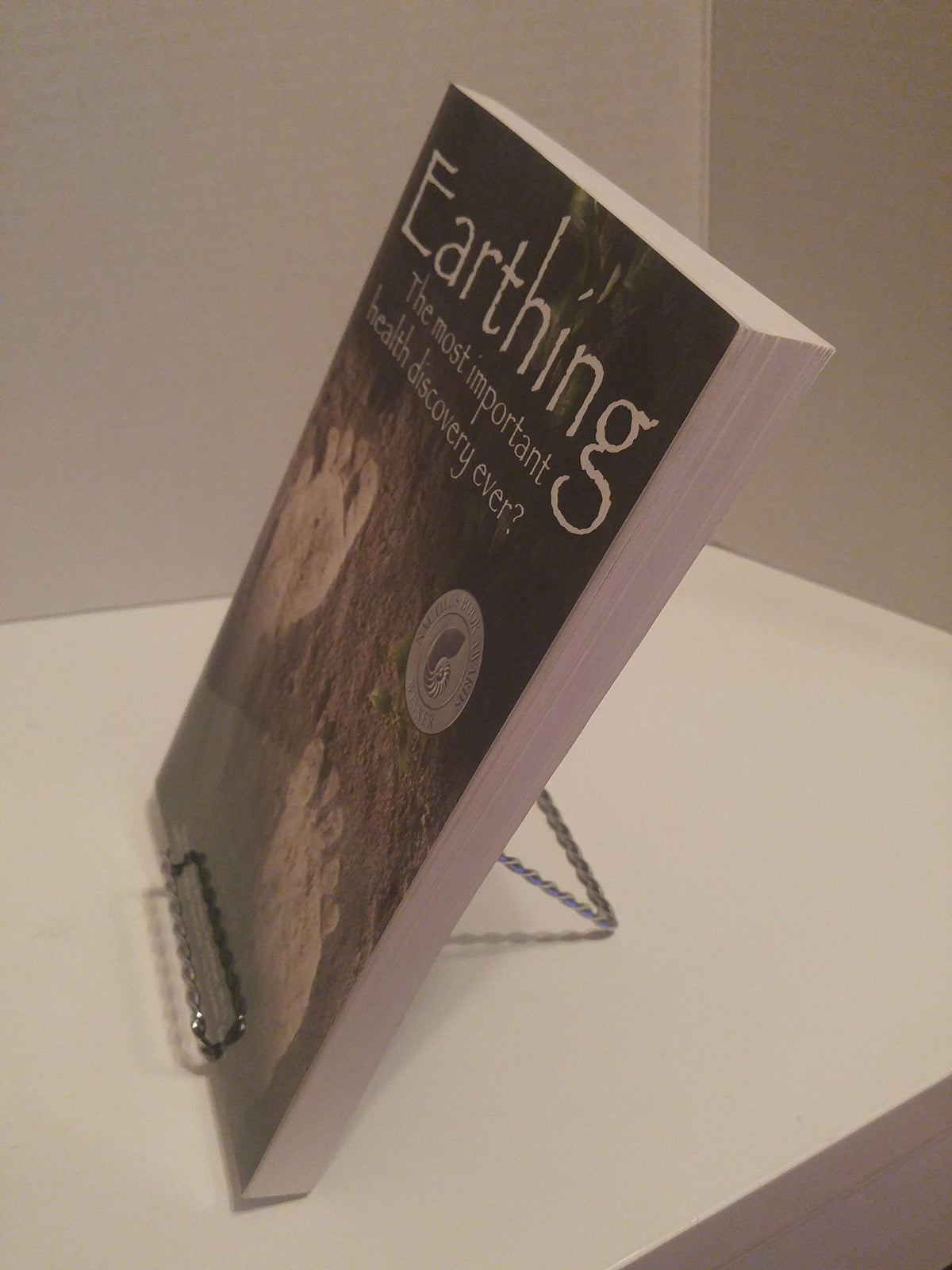 Earthing: The Most Important Health Discovery Ever?