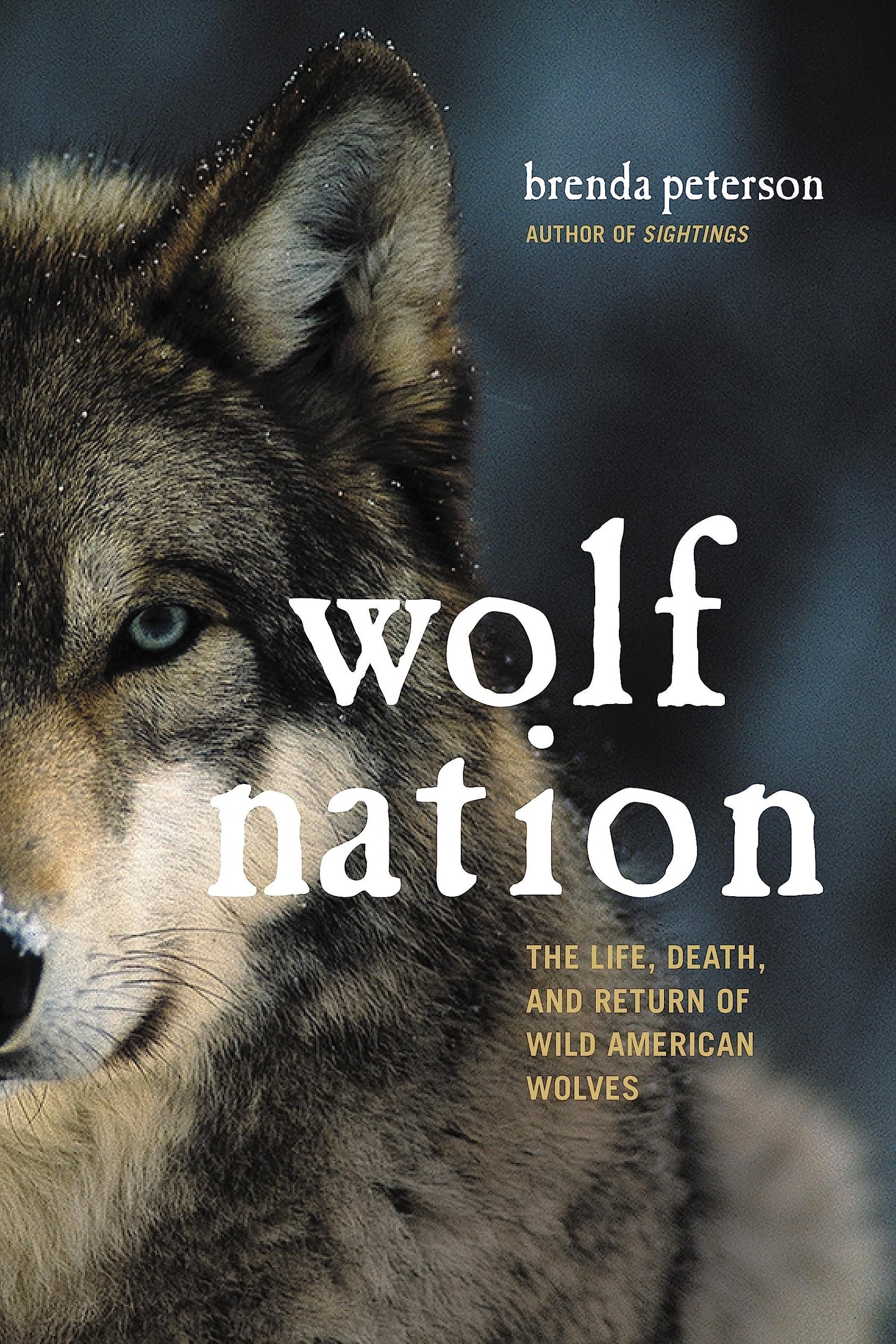 Wolf Nation: The Life, Death, and Return of Wild American Wo