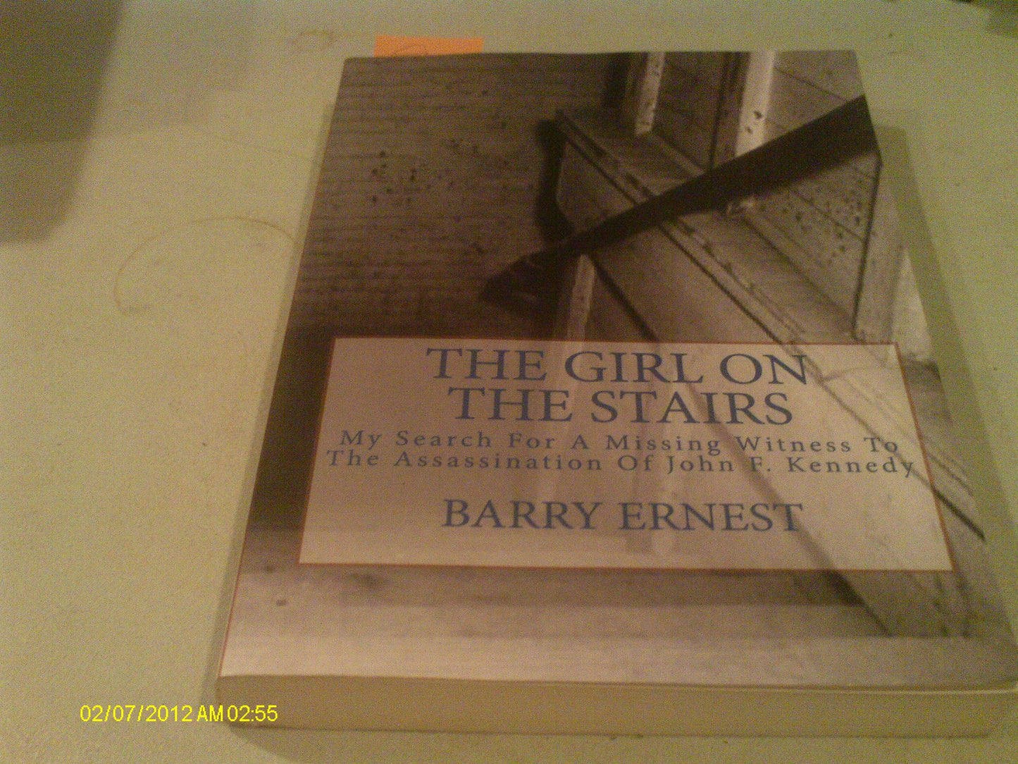 The Girl on the Stairs: My Search for a Missing Witness