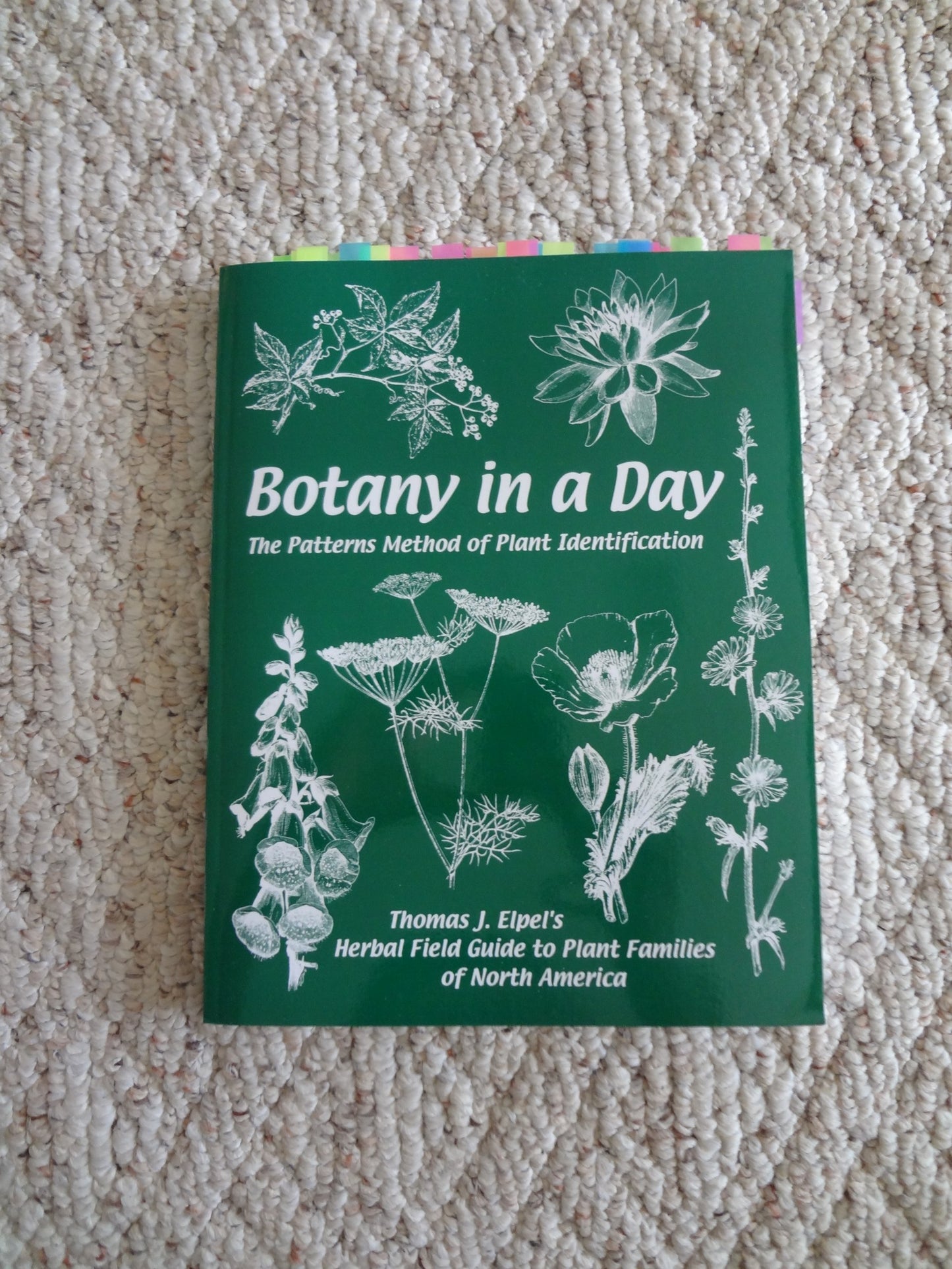 Botany in a Day: The Patterns Method of Plant Identification