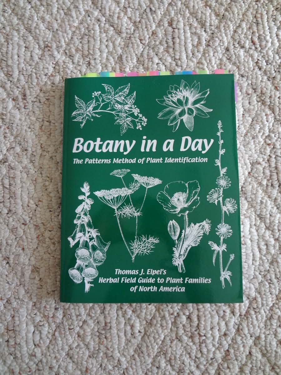 Botany in a Day: The Patterns Method of Plant Identification