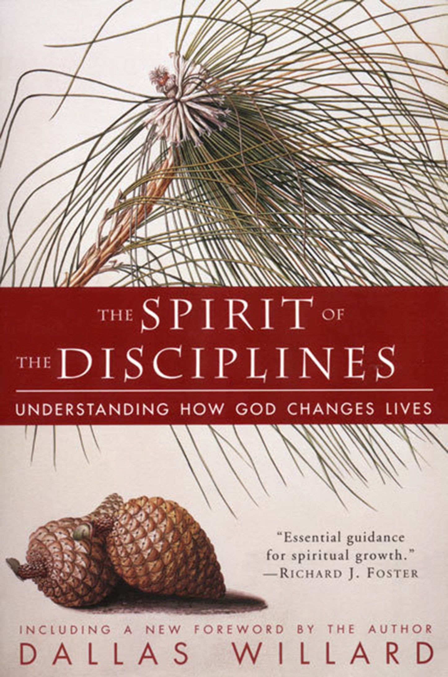 The Spirit of the Disciplines: Understanding How God Changes