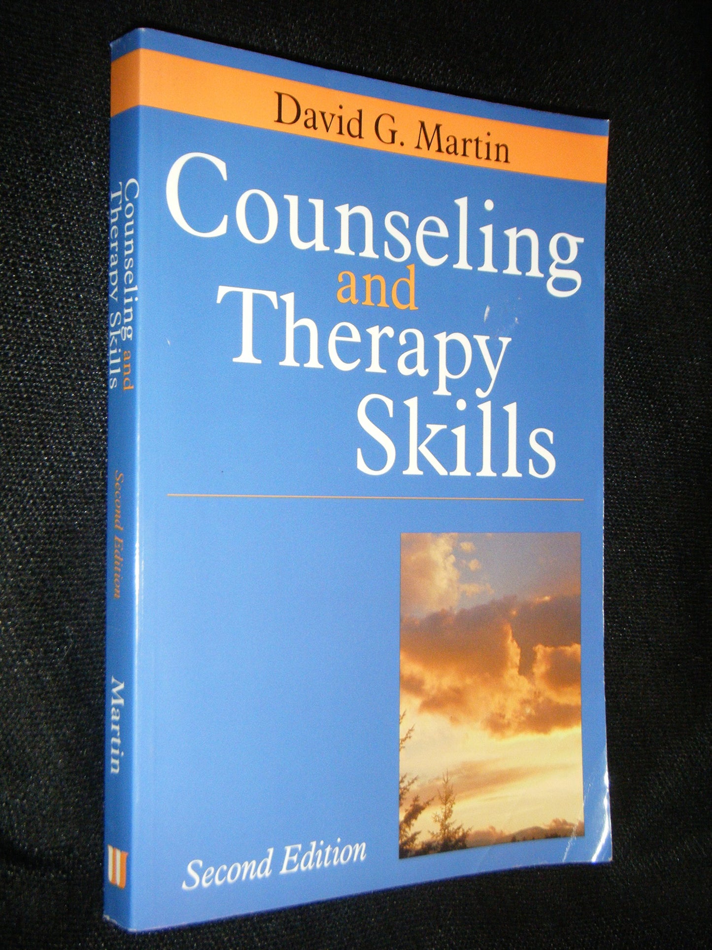 Counseling and Therapy Skills by Martin, David G.