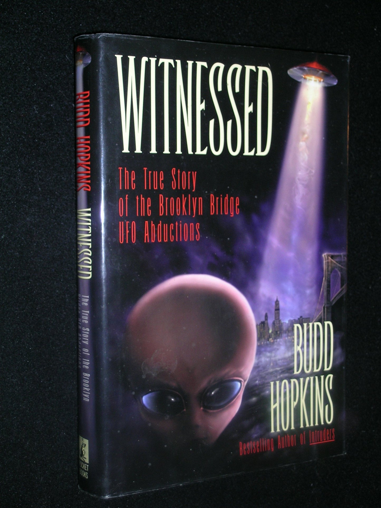 Witnessed; The True Story of the Brooklyn Bridge UFO Abducti