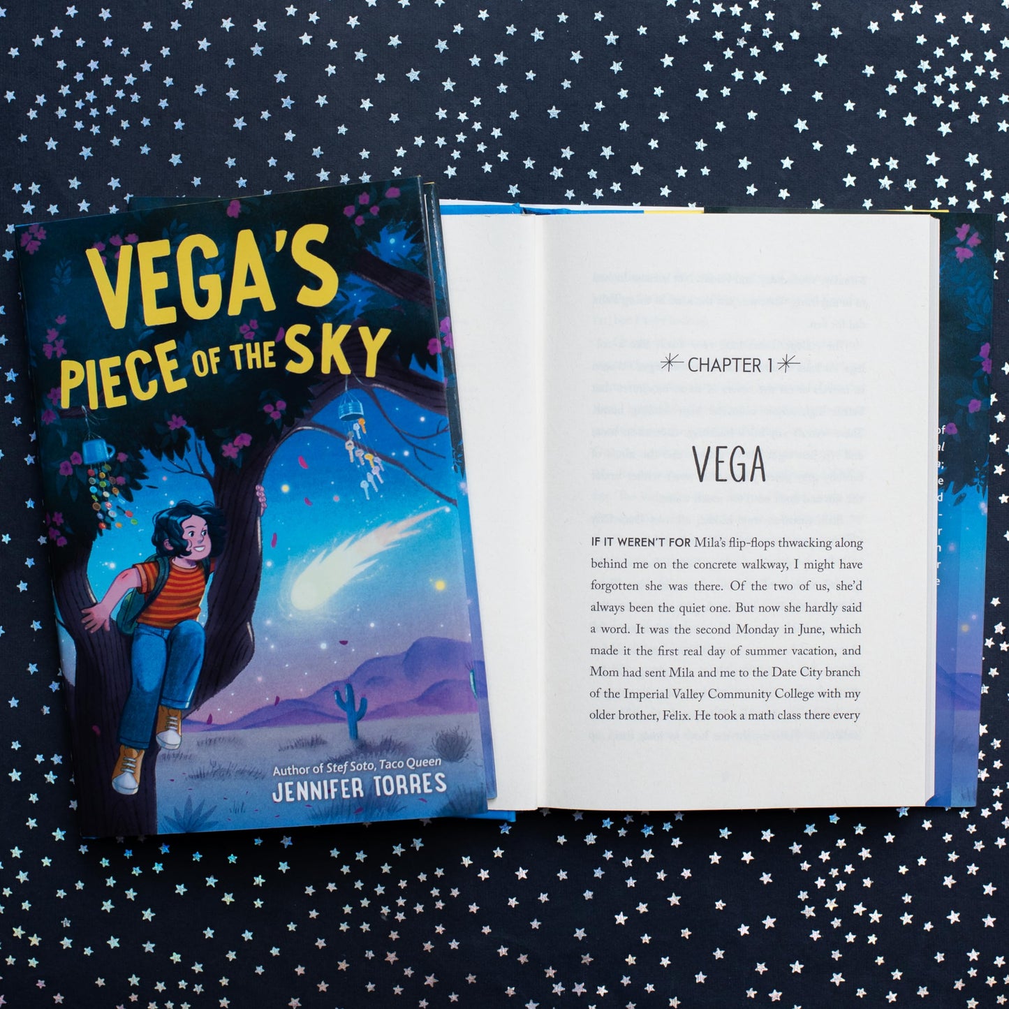 Vega's Piece of the Sky