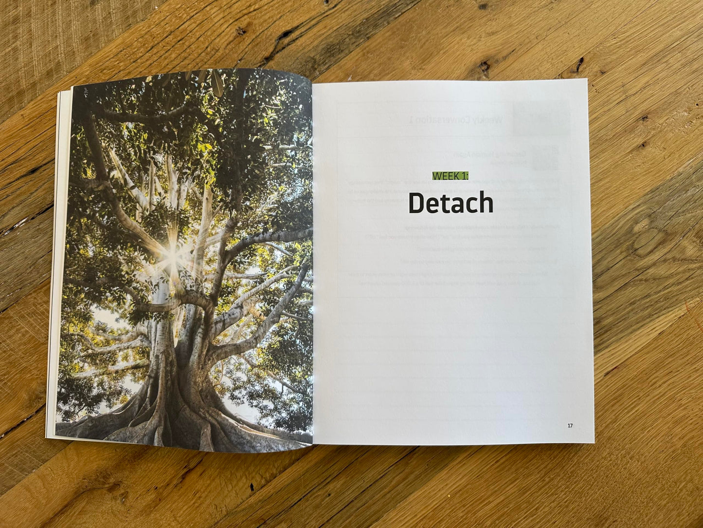 The Digital Fast Workbook: Detox Your Mind and Reclaim What Matters Most