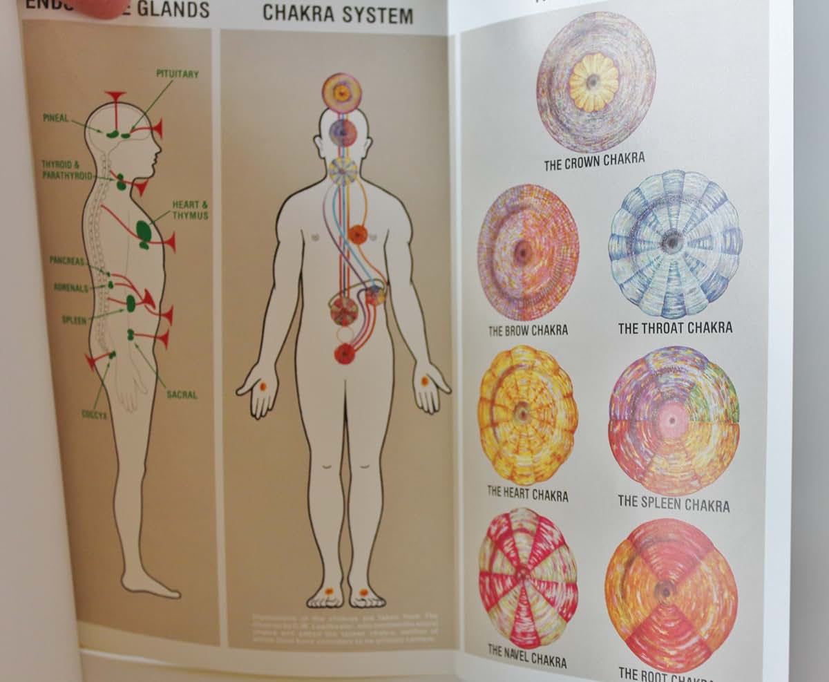 The Chakras and the Human Energy Fields (Quest Book)
