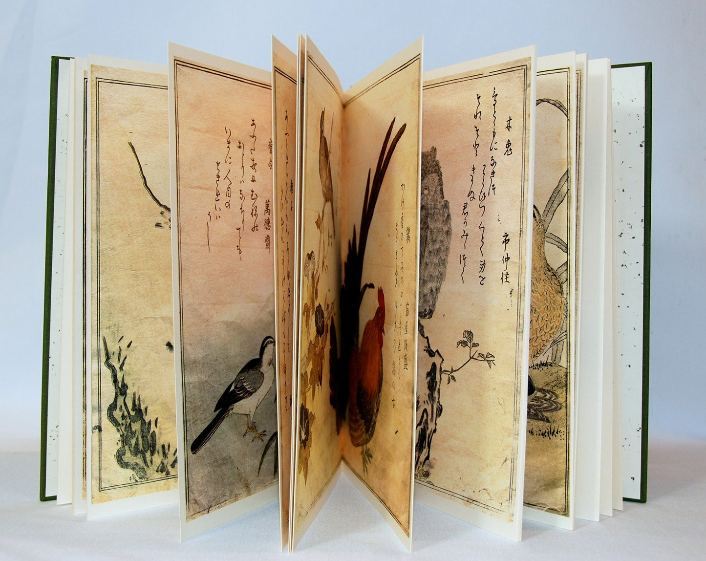 UTAMARO: A Chorus of Birds (English and Japanese Edition)