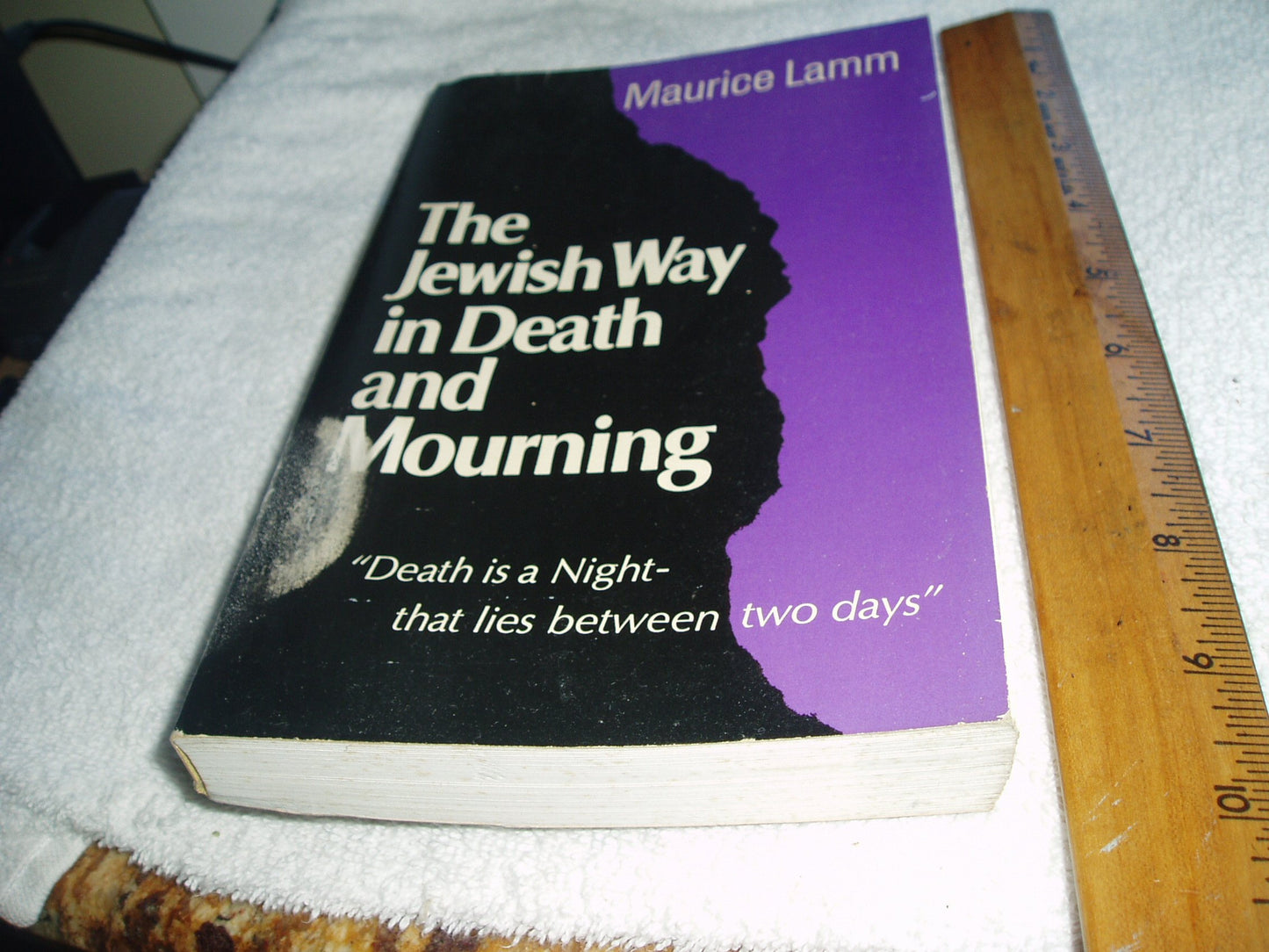 The Jewish Way in Death and Mourning (English and Hebrew Edition)
