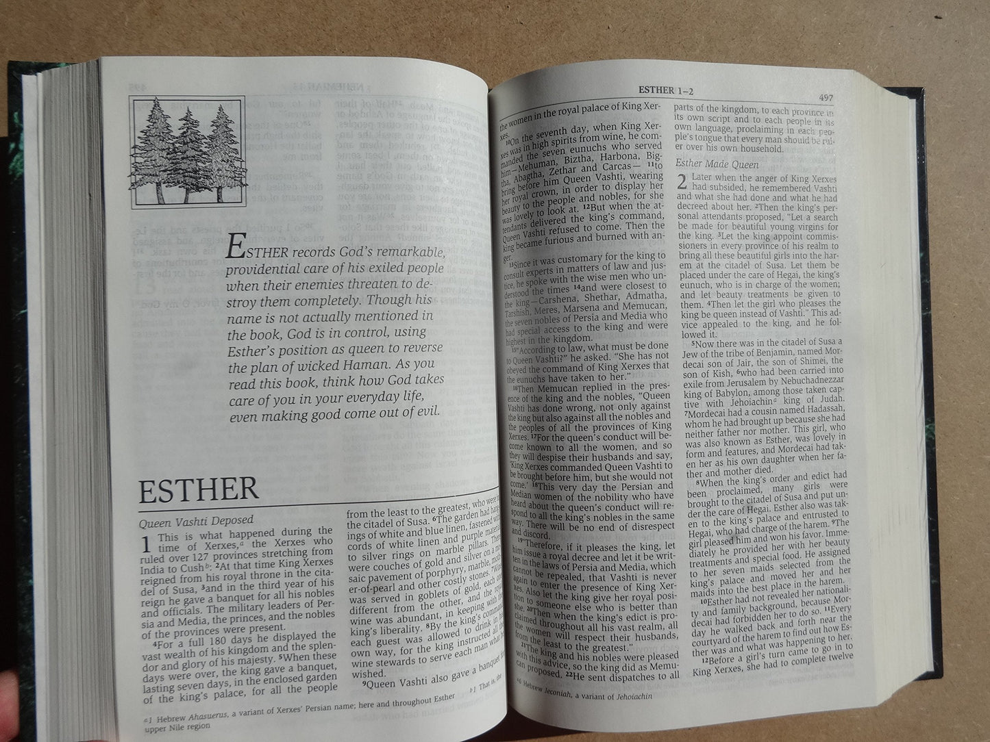 NIV Men's Devotional Bible: New International Version