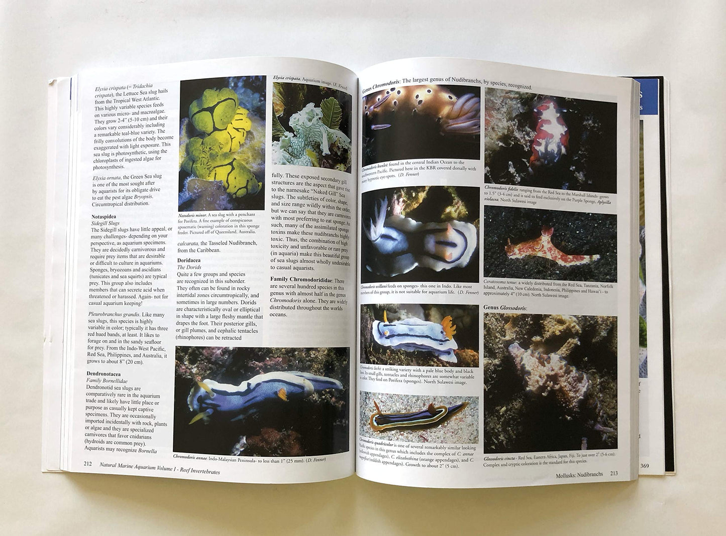 Reef Invertebrates: An Essential Guide to Selection, Care an