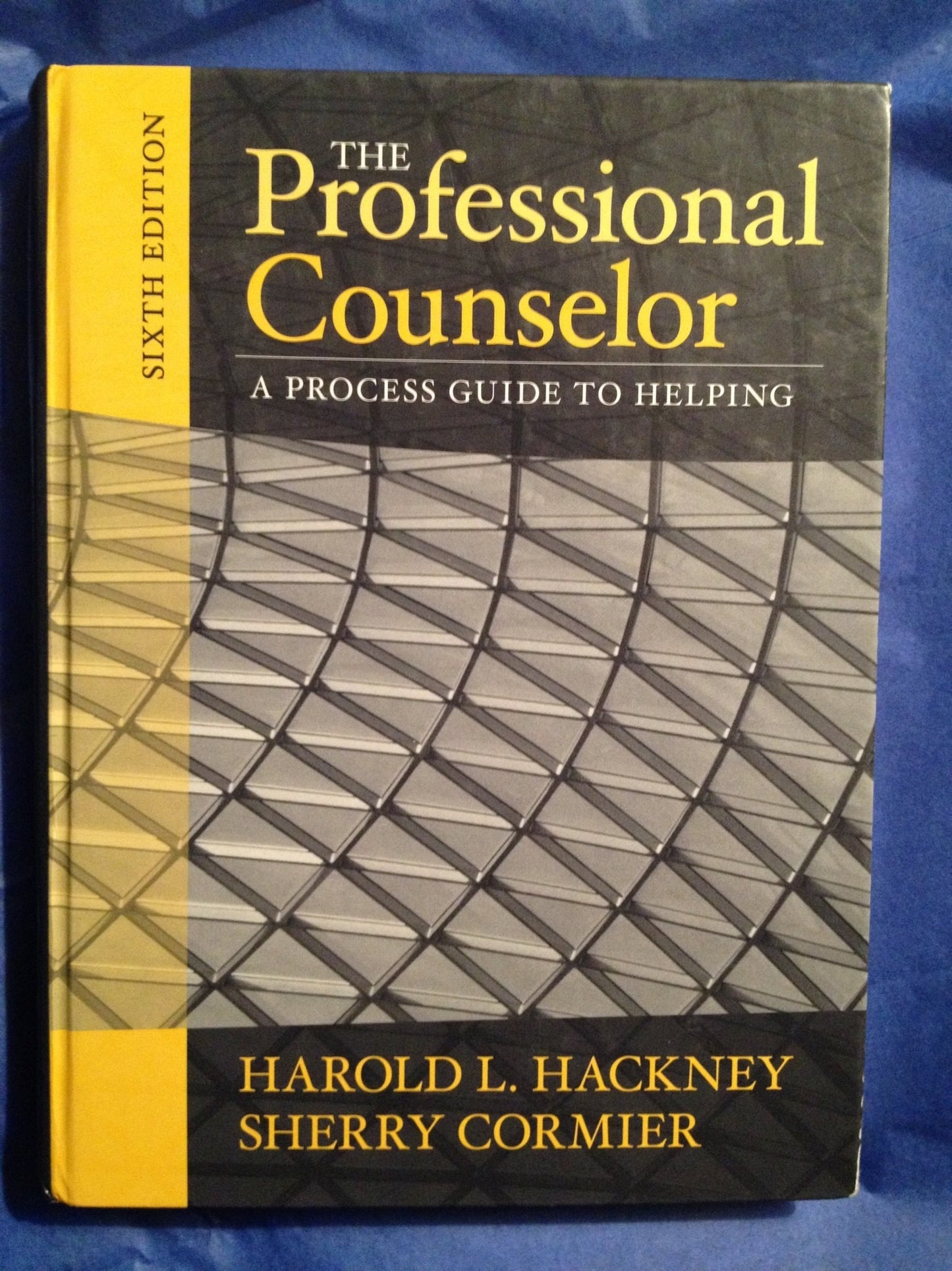 The Professional Counselor: A Process Guide to Helping by Ha