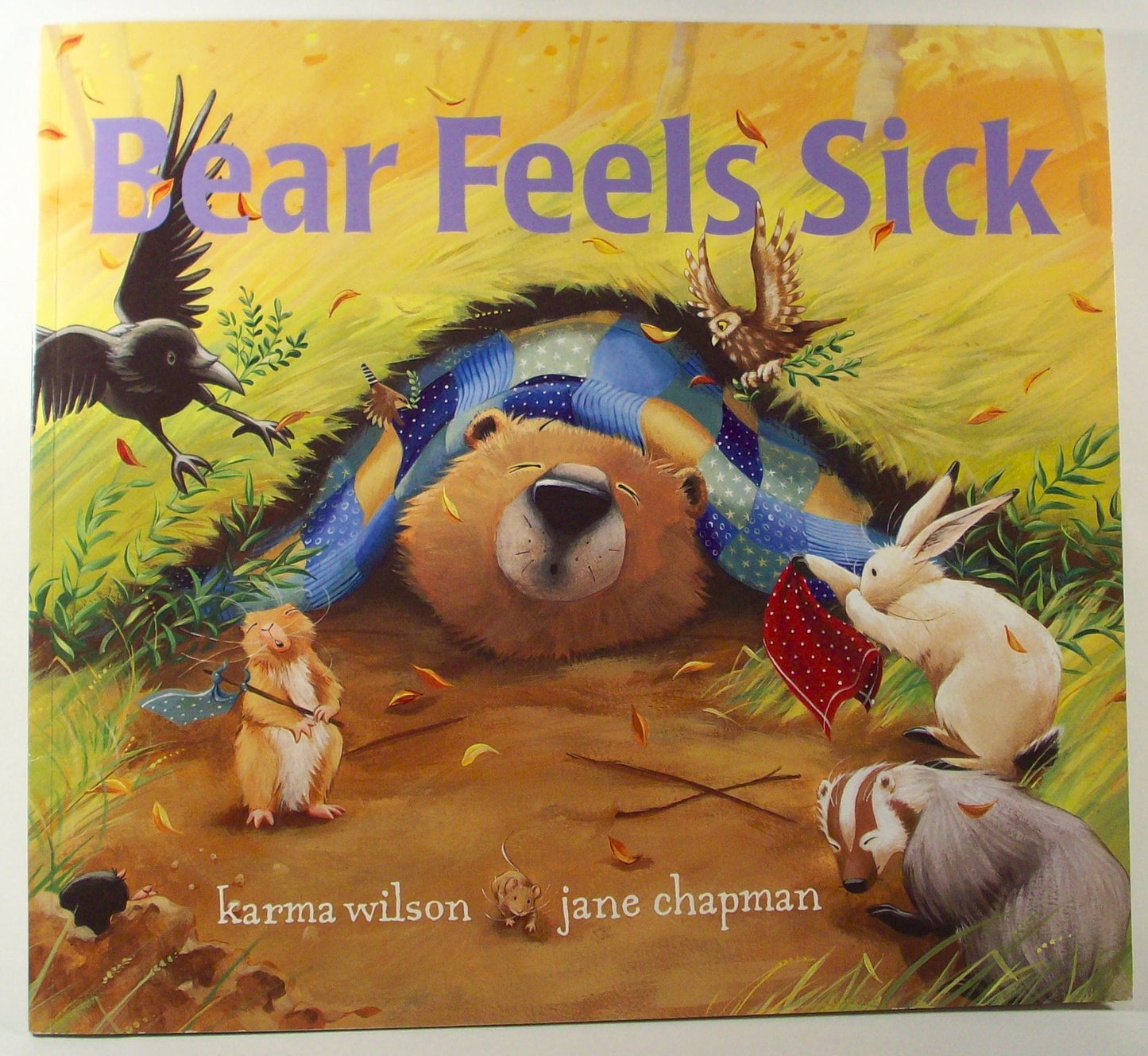 Bear Feels Sick by Wilson, Karma; Chapman, Jane