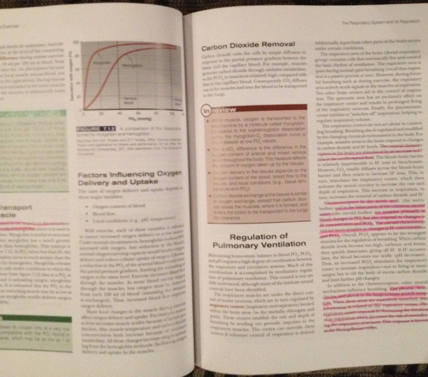 Physiology of Sport and Exercise with Web Study Guide, 5th Edition