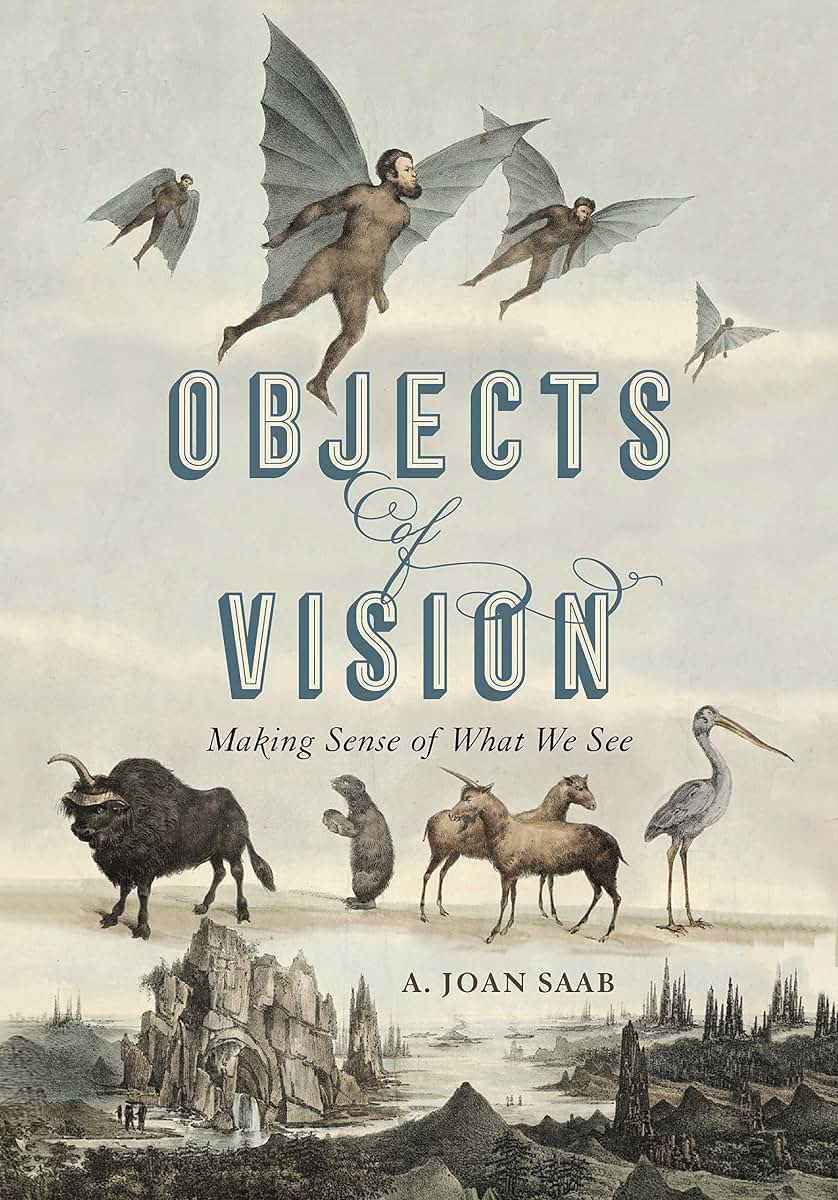 Objects of Vision: Making Sense of What We See (Perspectives on Sensory History)