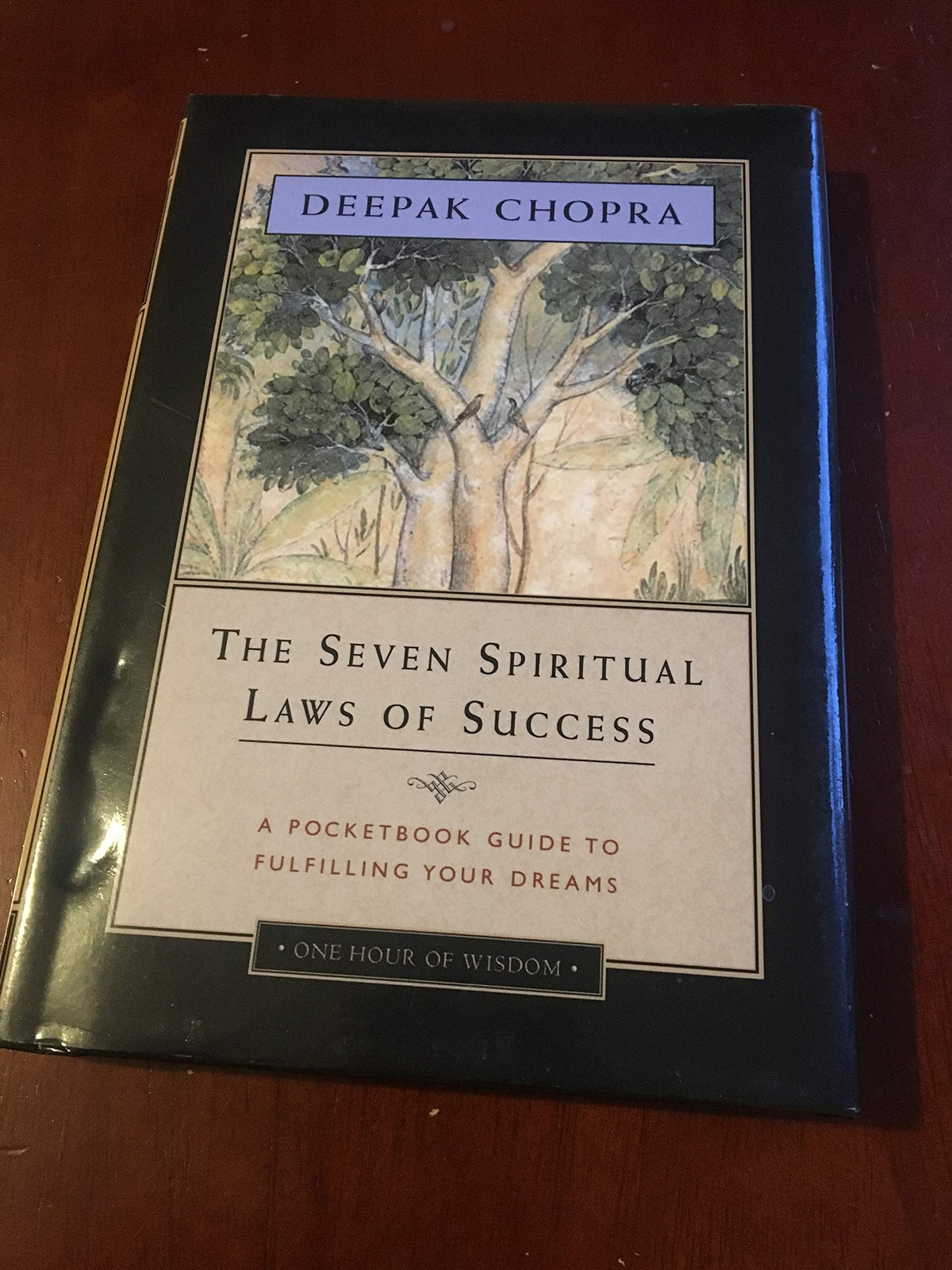 The Seven Spiritual Laws of Success: A Pocketbook Guide to Fulfilling Your Dreams (One Hour of Wisdom)