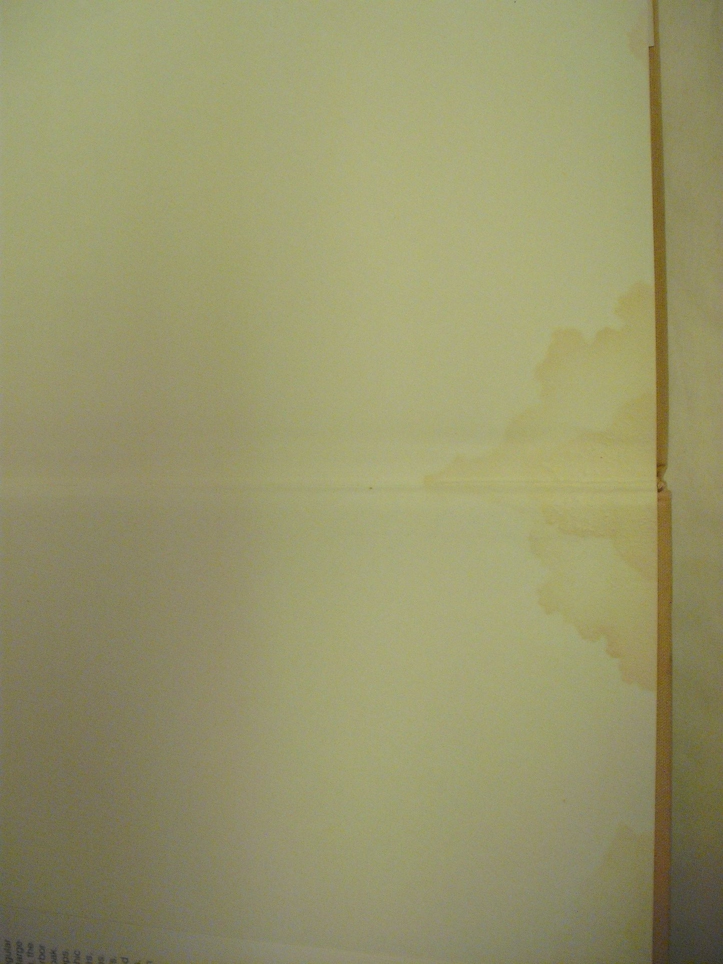 Brushwork for the Oil Painter