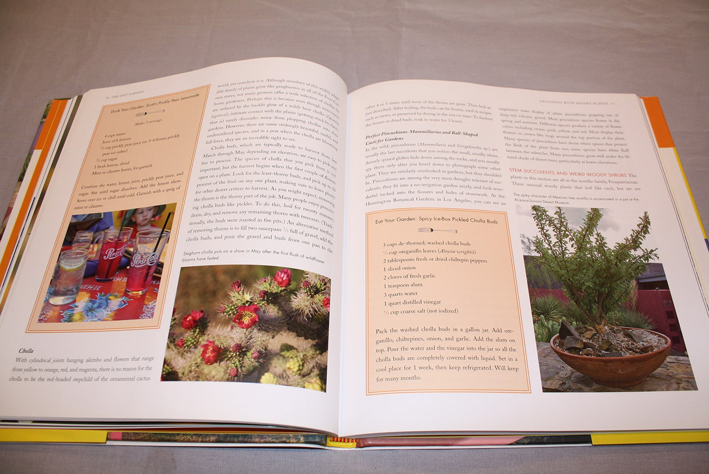 The Hot Garden: Landscape Design for the Desert Southwest