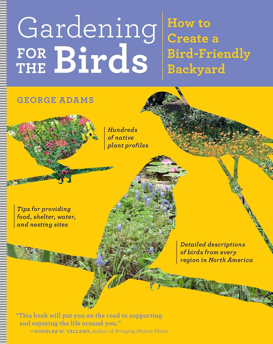 Gardening for the Birds: How to Create a Bird-Friendly Backyard