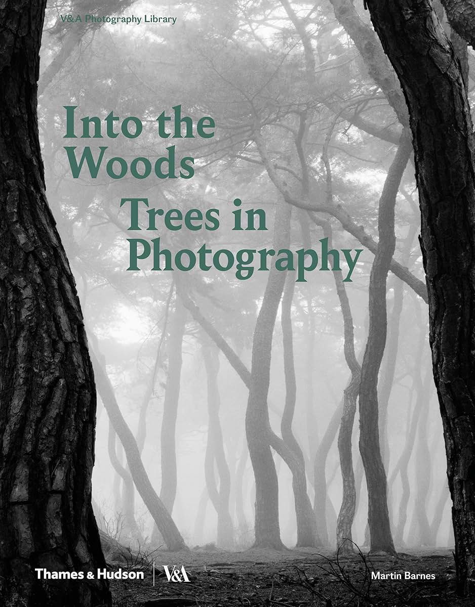 Into the Woods: Trees and Photography by Barnes, Martin