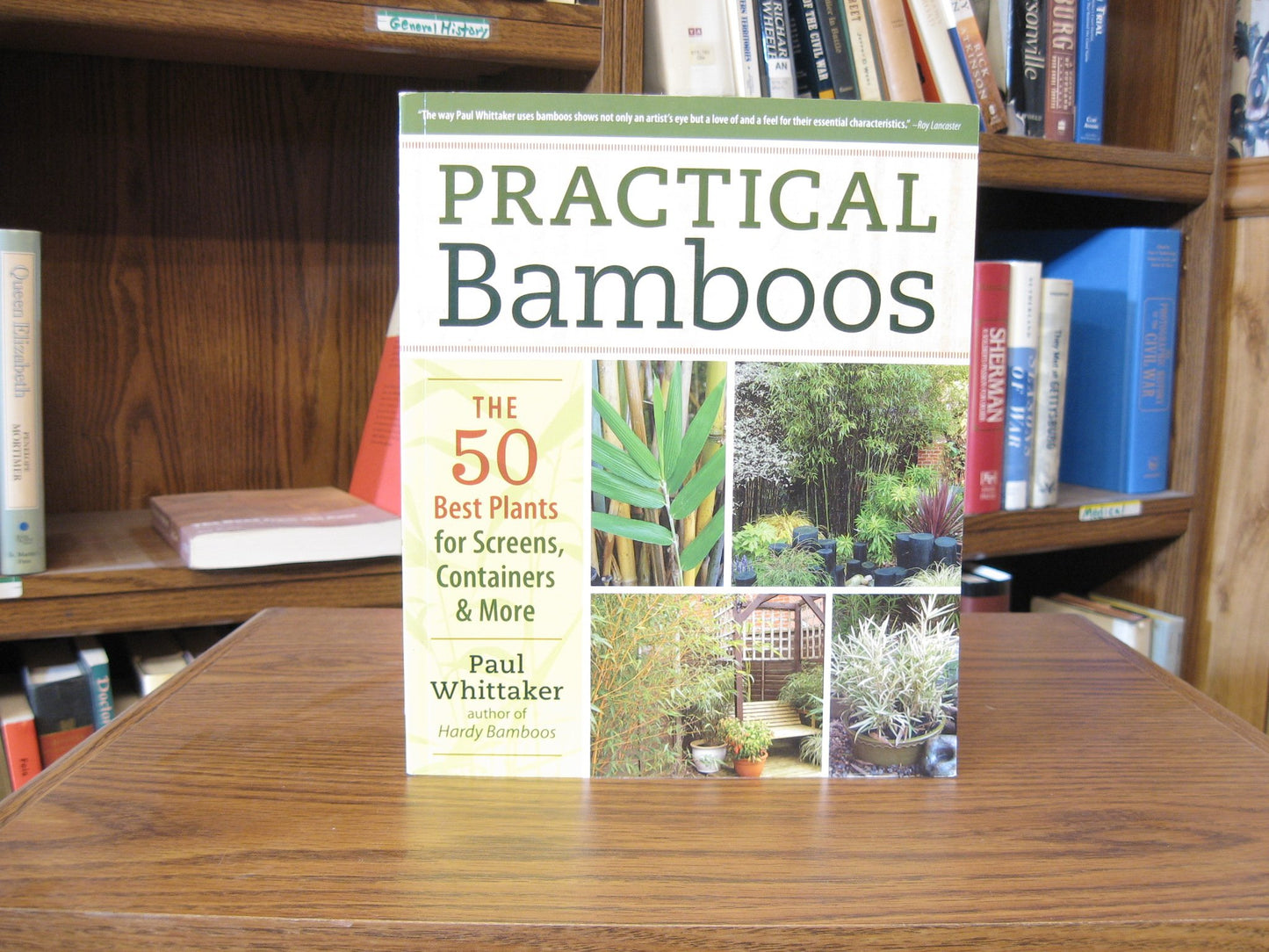 Practical Bamboos: The 50 Best Plants for Screens, Container