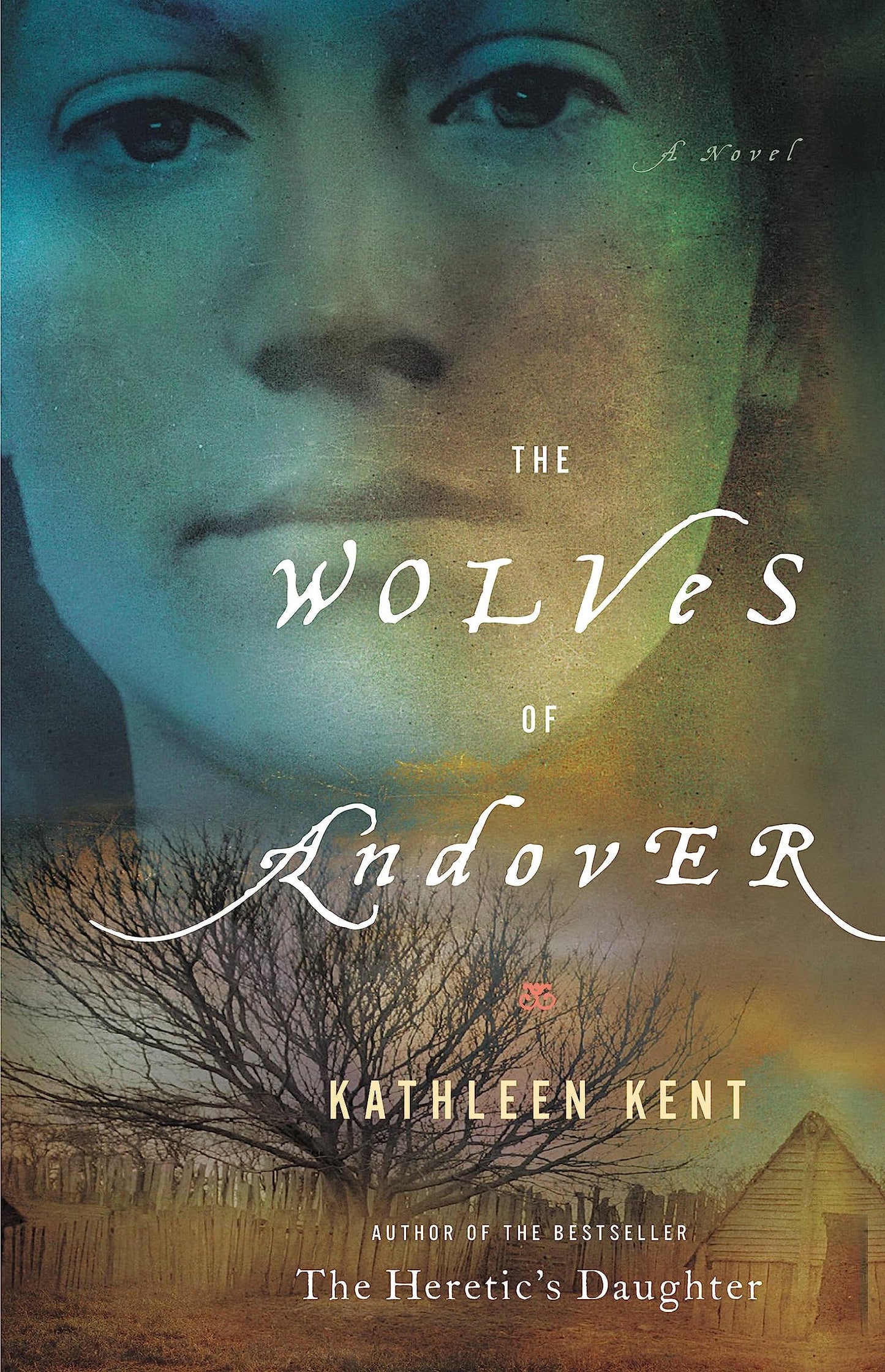 The Wolves of Andover: A Novel