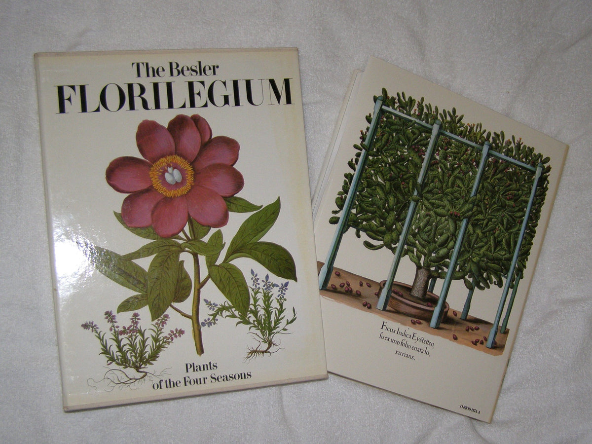 The Besler Florilegium: Plants of the Four Seasons