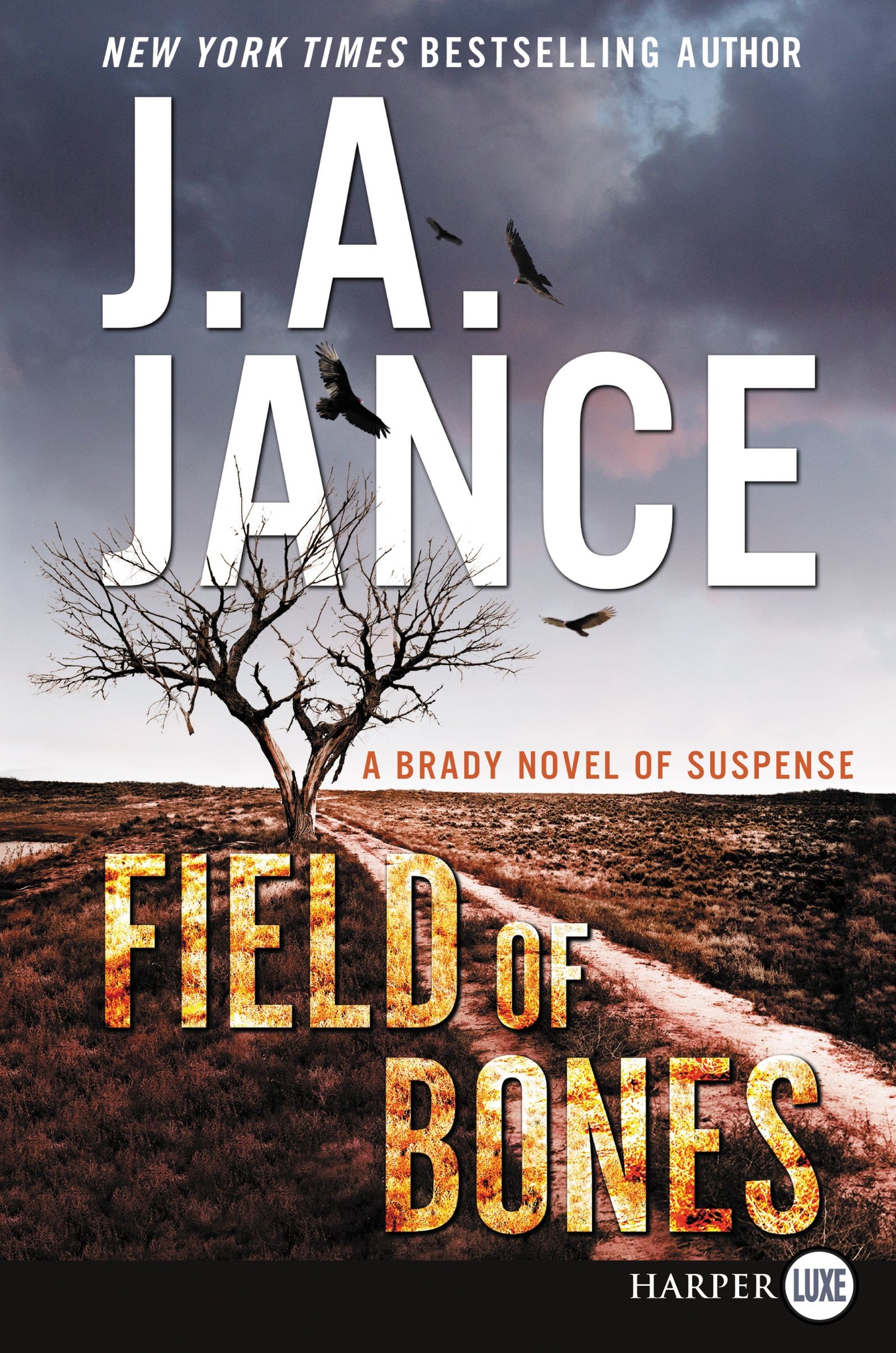 Field of Bones: A Brady Novel of Suspense (Joanna Brady, 17)