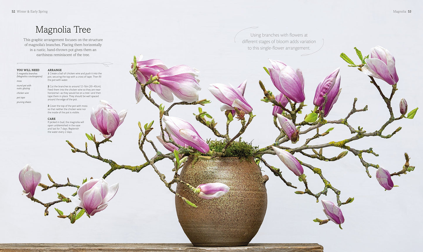 The Flower Book: Let the Beauty of Each Bloom Speak for Itself
