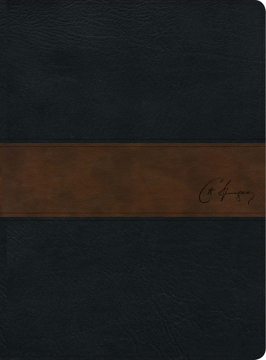 RVR 1960 Biblia de estudio Spurgeon, negro/marrn smil piel (Spanish Edition)
