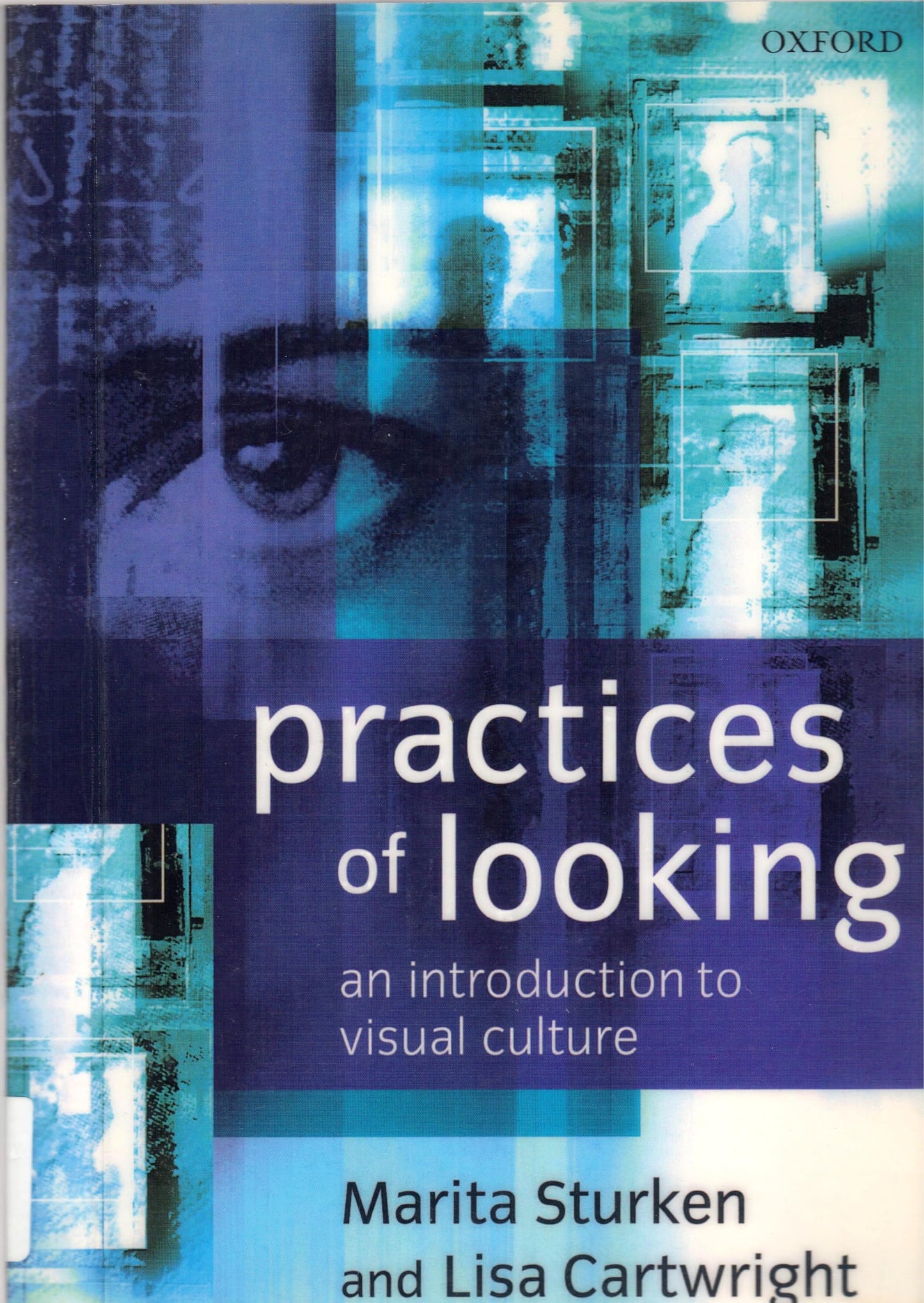 Practices of Looking: An Introduction to Visual Culture