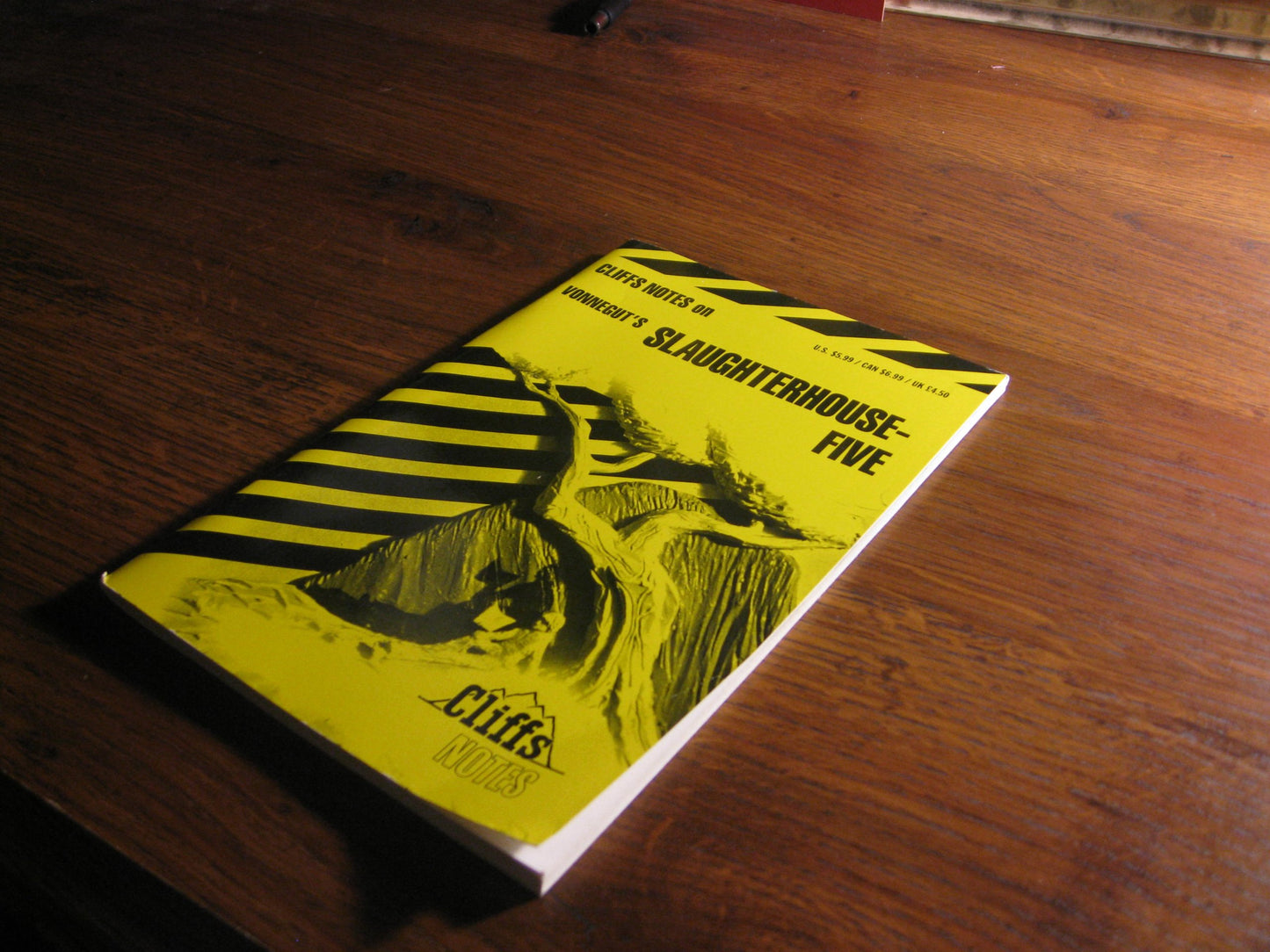 Slaughterhouse-Five (Cliffs Notes)
