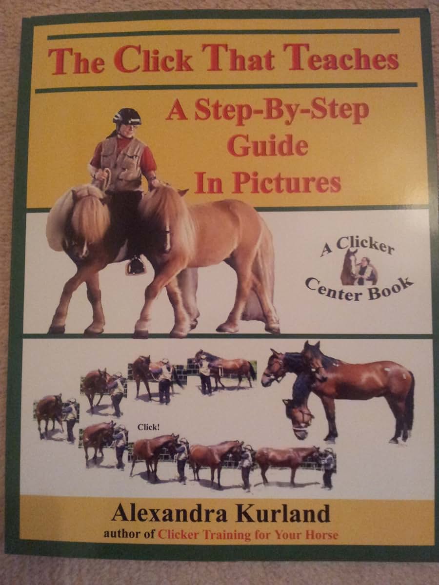 The Click That Teaches: A Step-By-Step Guide in Pictures