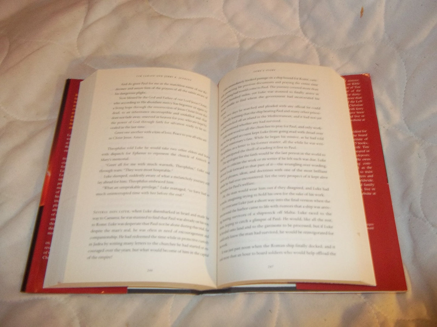 Luke's Story (The Jesus Chronicles)